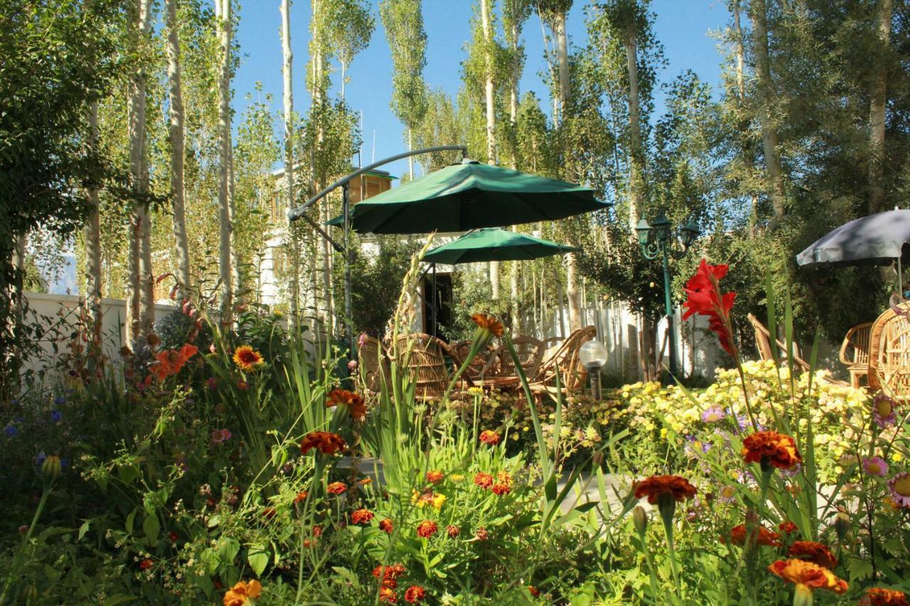 Hotel Ladakh Greens - An Organic Retreat Лех Экстерьер фото